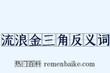 流浪金三角反义词是什么意思的图片